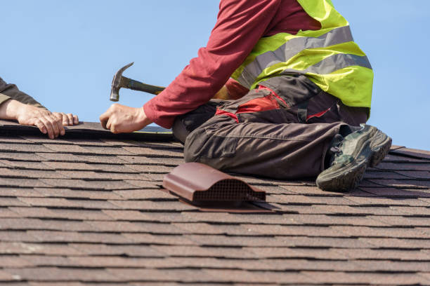 Best Metal Roofing Contractor  in Vernon, AL