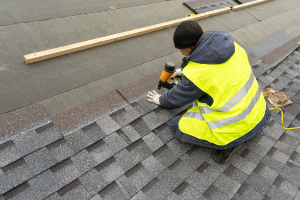 Best New Roof Installation  in Vernon, AL