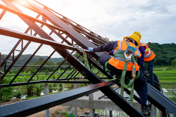 Best Roof Gutter Cleaning  in Vernon, AL