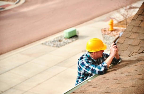 Best Local Roofing Companies  in Vernon, AL