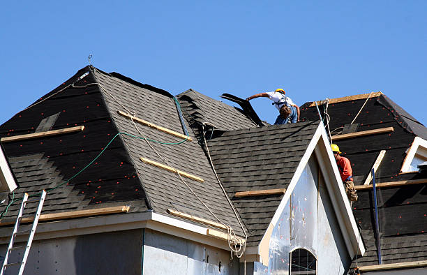 Best Roof Restoration Services  in Vernon, AL