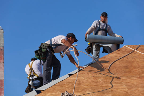 Best Tile Roofing Contractor  in Vernon, AL