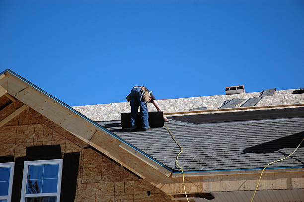 Best Roof Leak Repair  in Vernon, AL