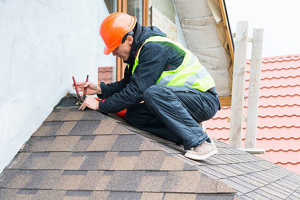 Best Roof Gutter Cleaning  in Vernon, AL