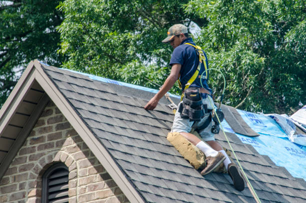Residential Roof Replacement in Vernon, AL